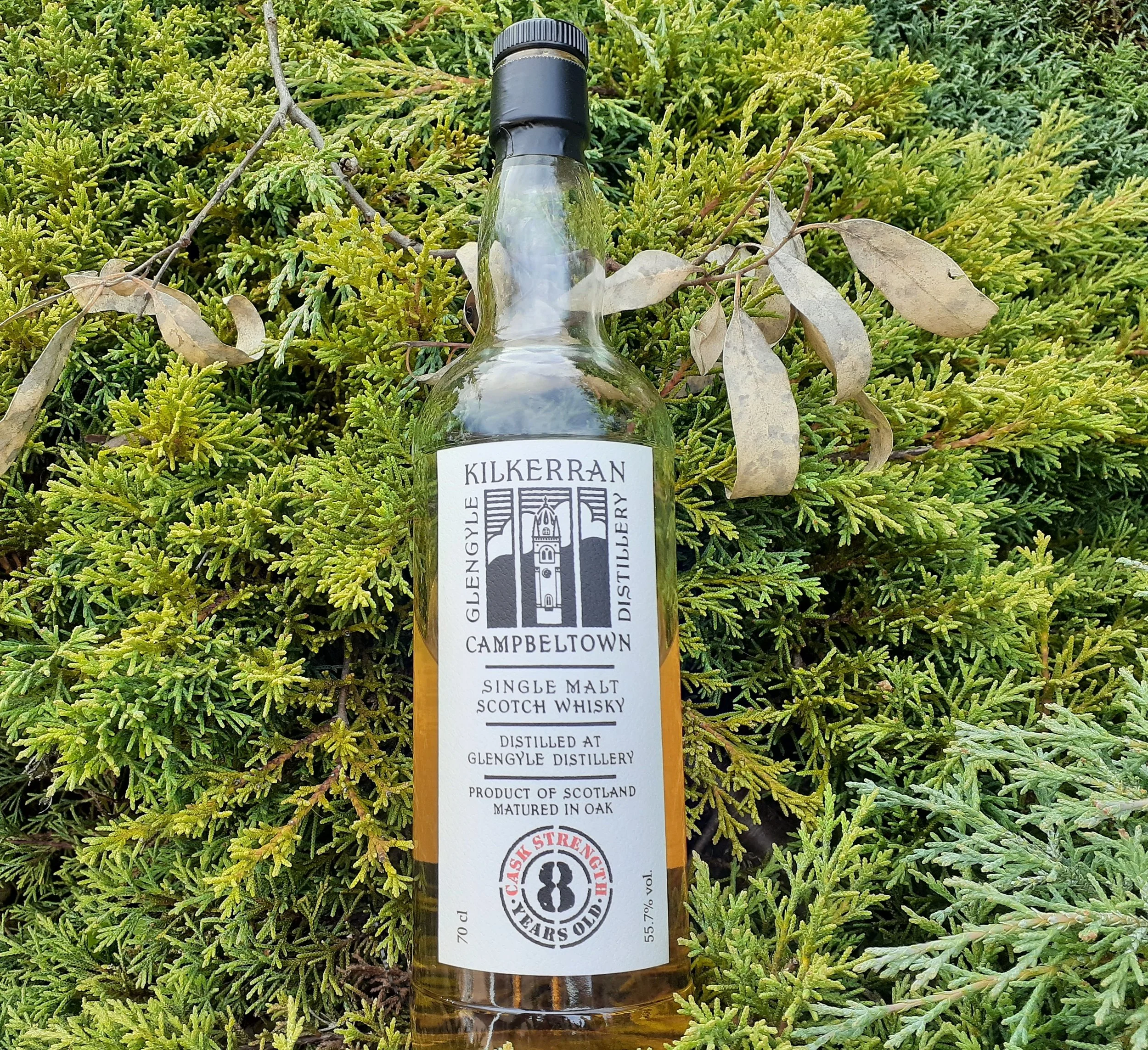 Kilkerran 8yo Cask Strength 2017 — Dramface Kilkerran 8yo Cask Strength 2017 — Dramface
